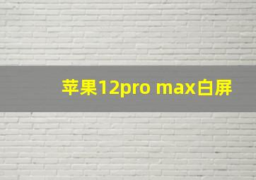 苹果12pro max白屏